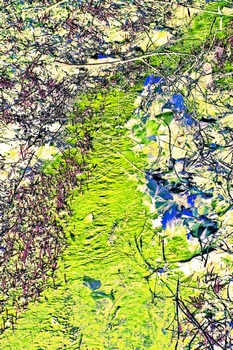L 014C
